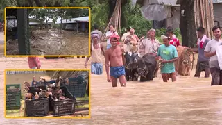 বন্যা পরবর্তী সময়ে আয়ের পথ তৈরিই এখন বড় চ্যালেঞ্জ